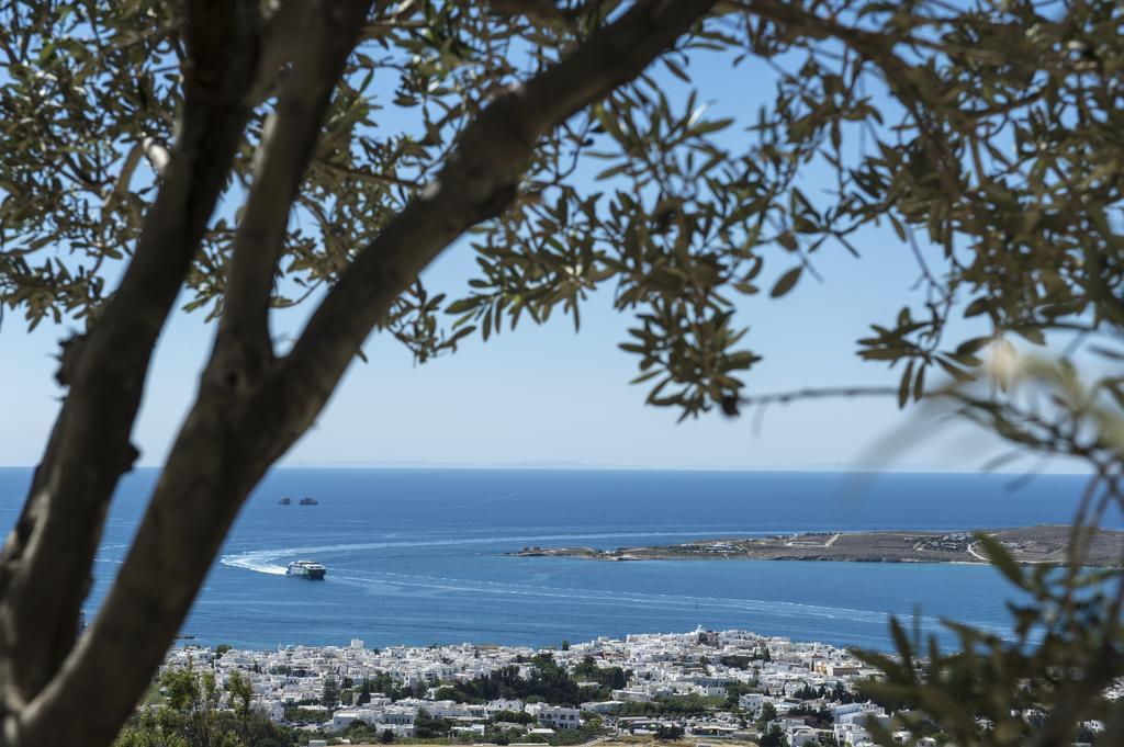 パロス島 Olive Tree House In Parikiaヴィラ エクステリア 写真